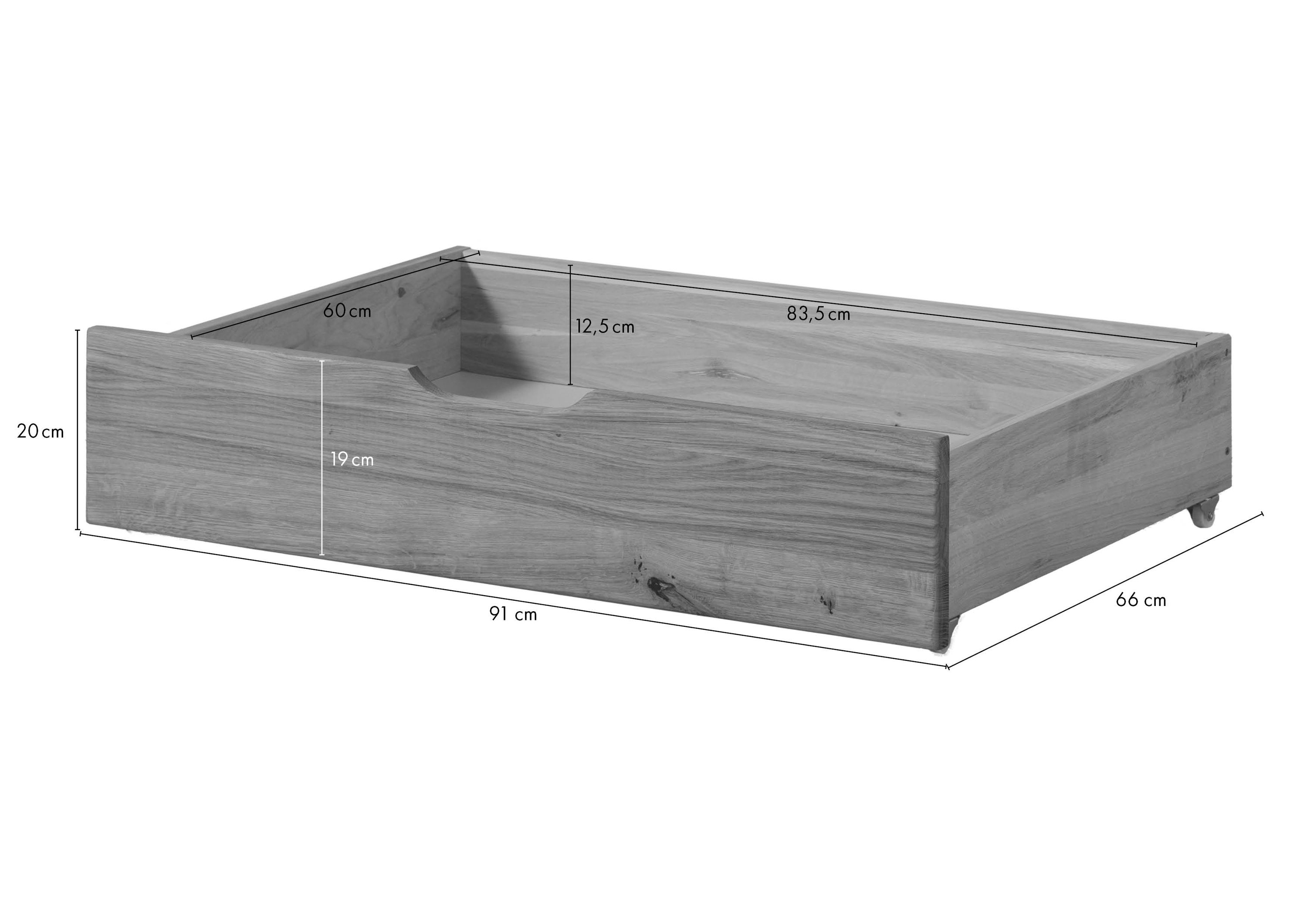 Product image for 100116
