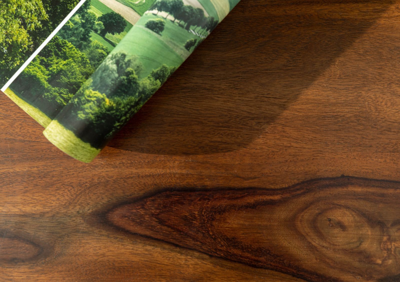 Product image for 100385