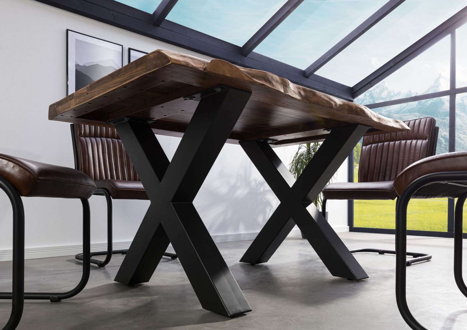 Product image for 101622