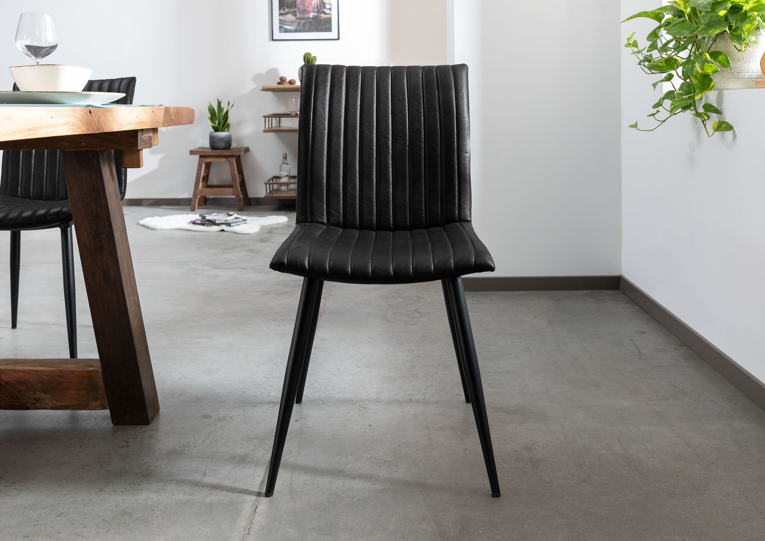 Product image for 101670