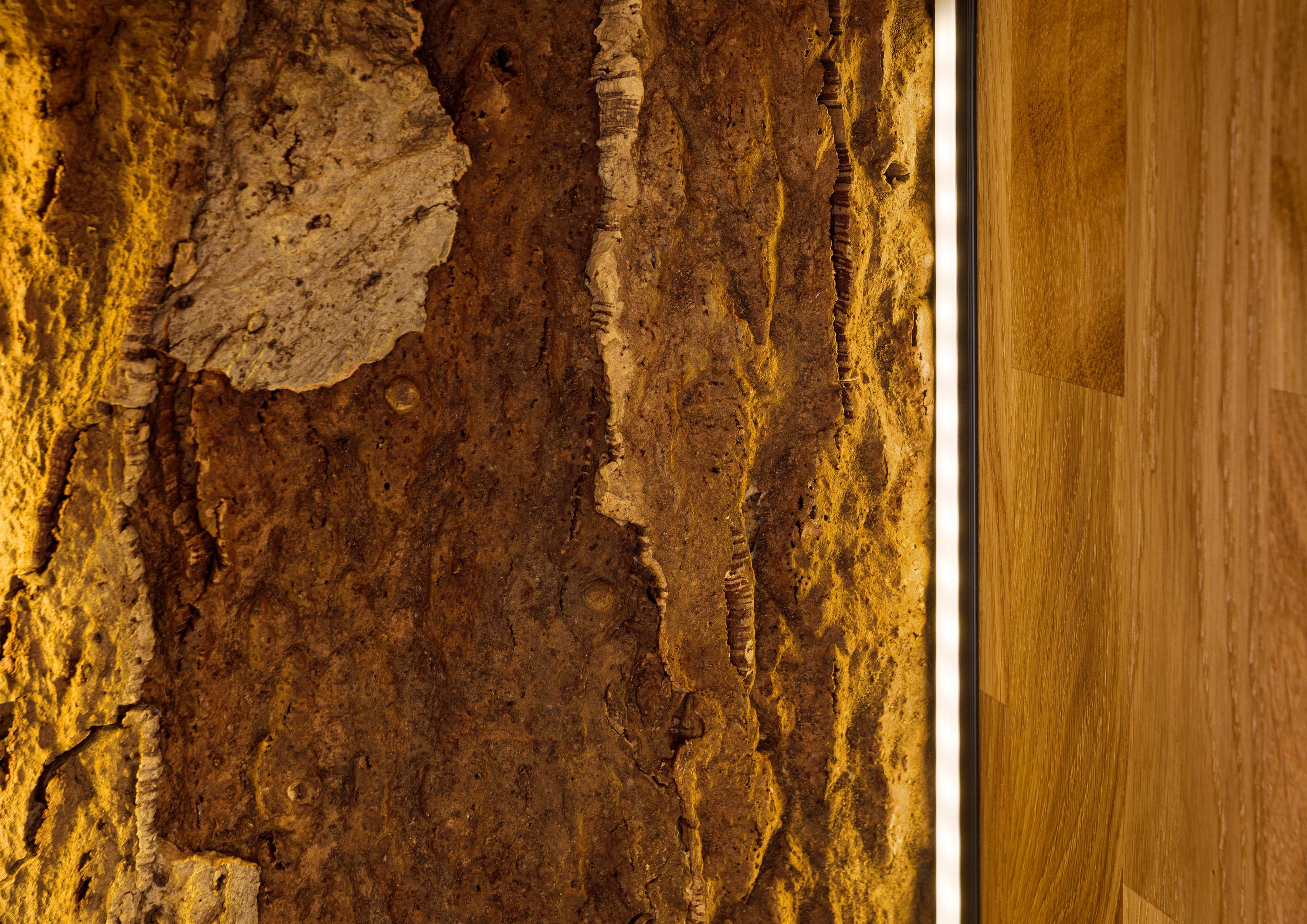 Product image for 102995