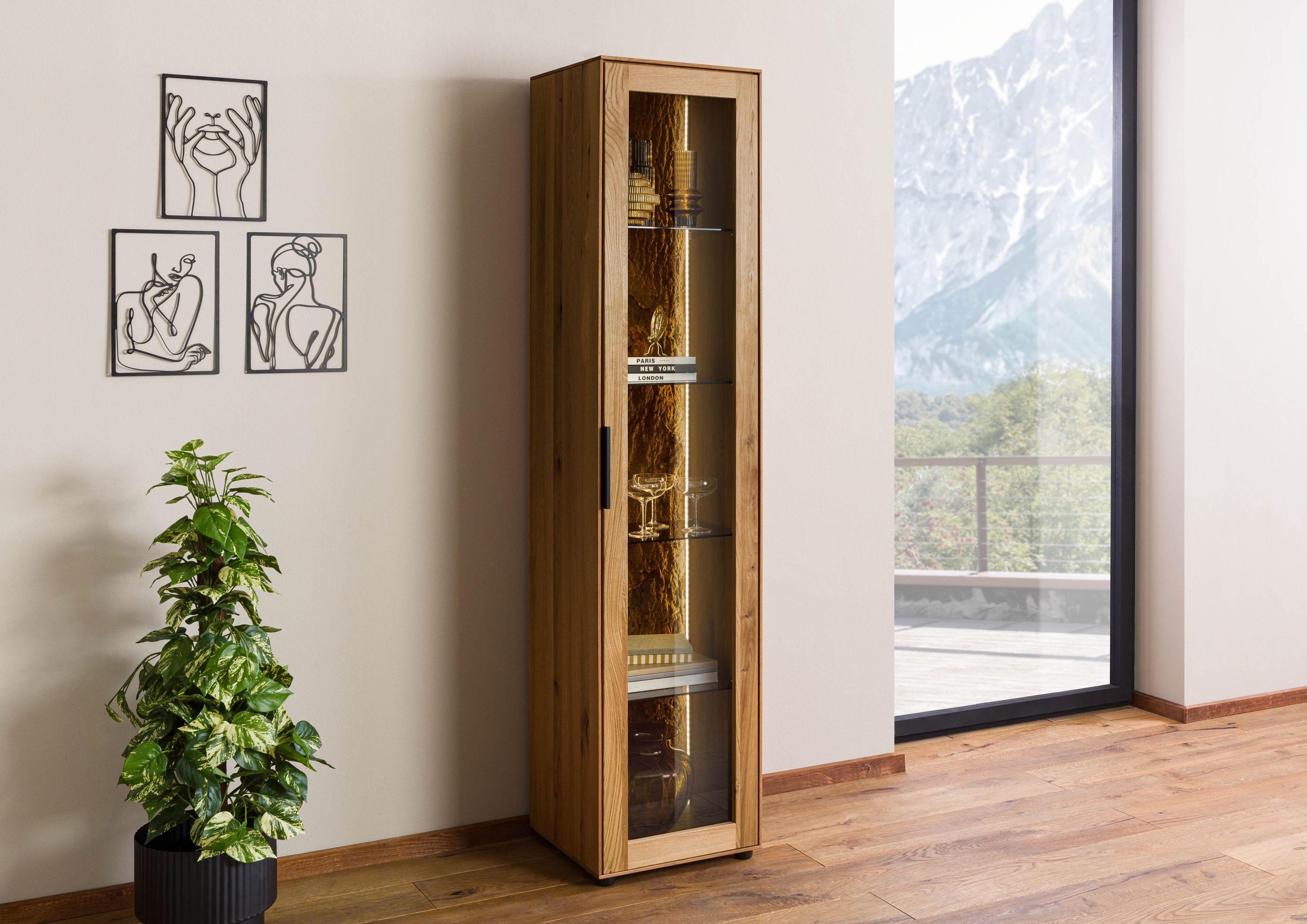 Product image for 102996