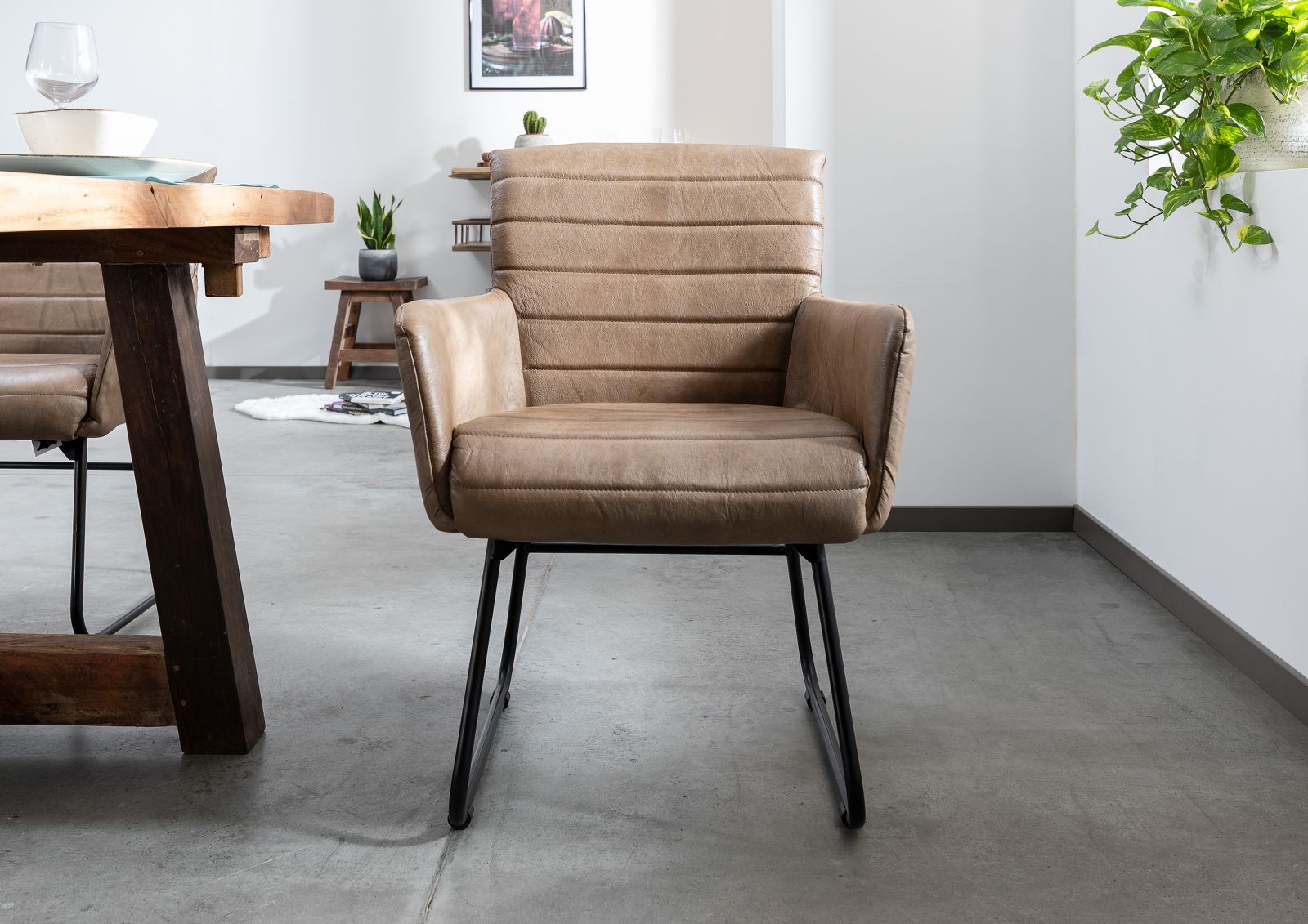 Product image for 101669