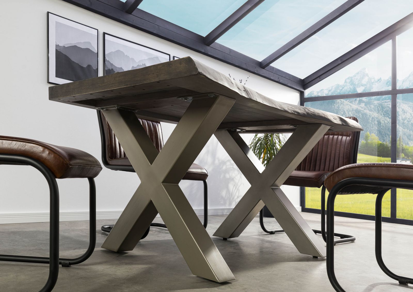 Product image for 101621