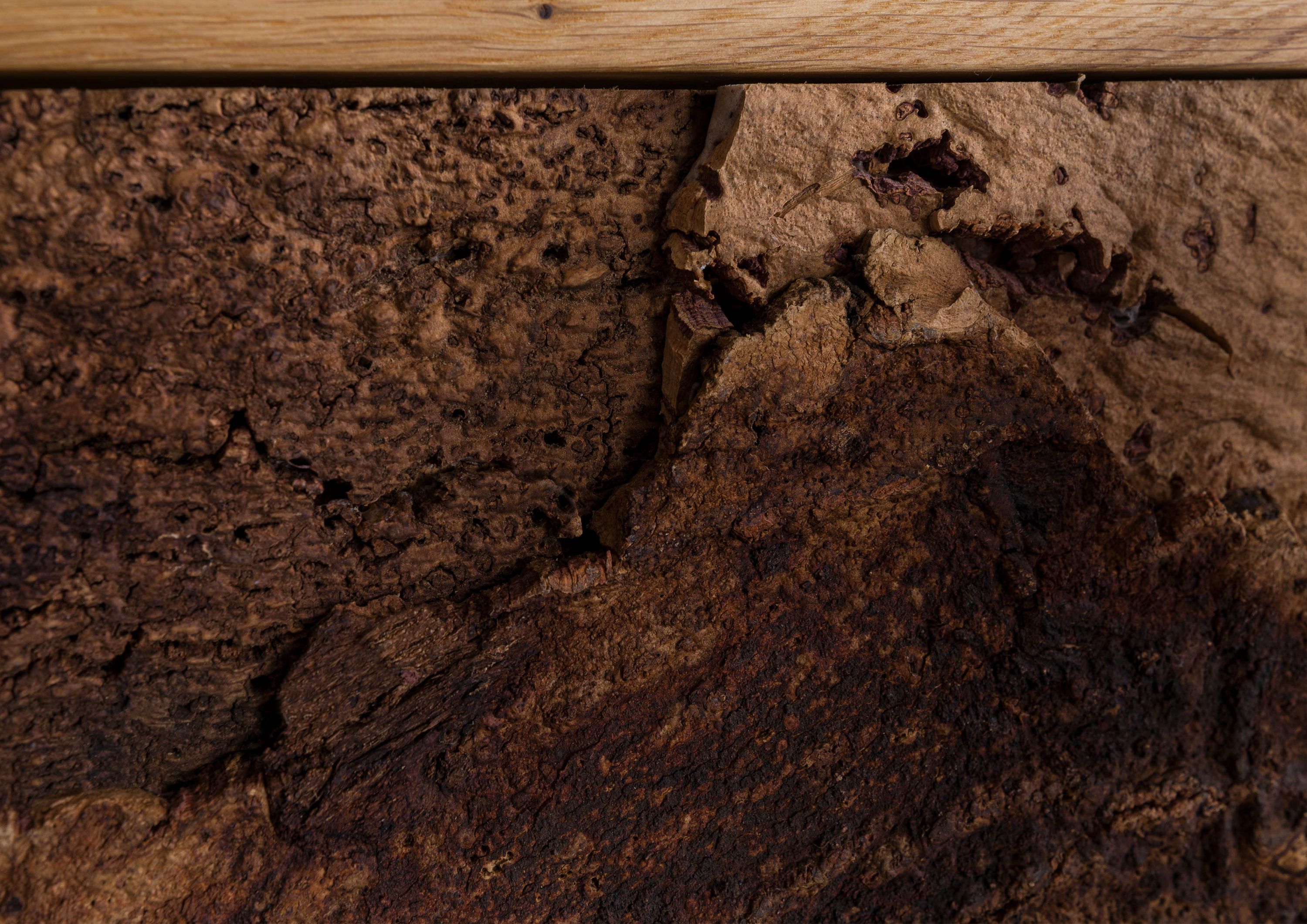Product image for 102984
