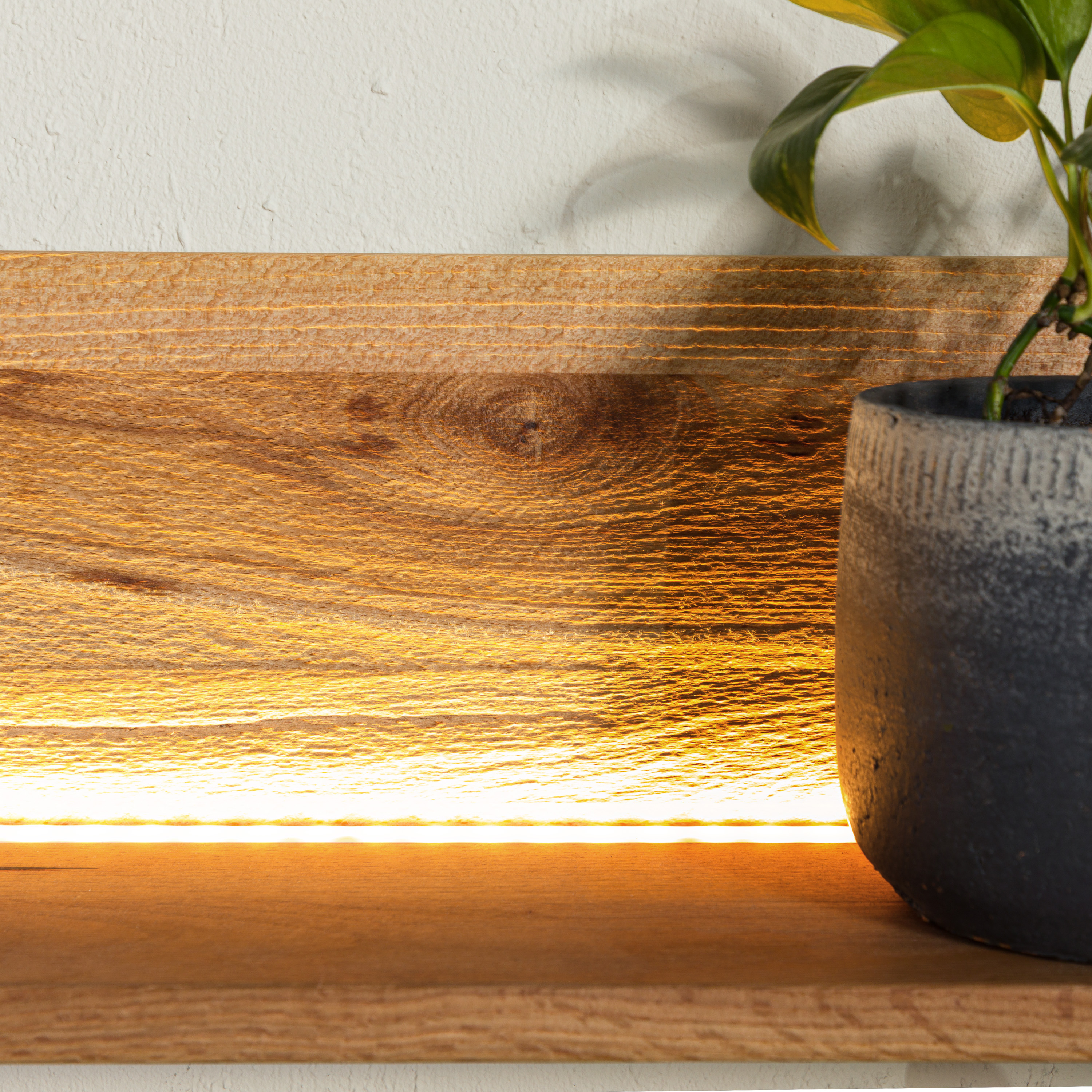 Product image for 170710