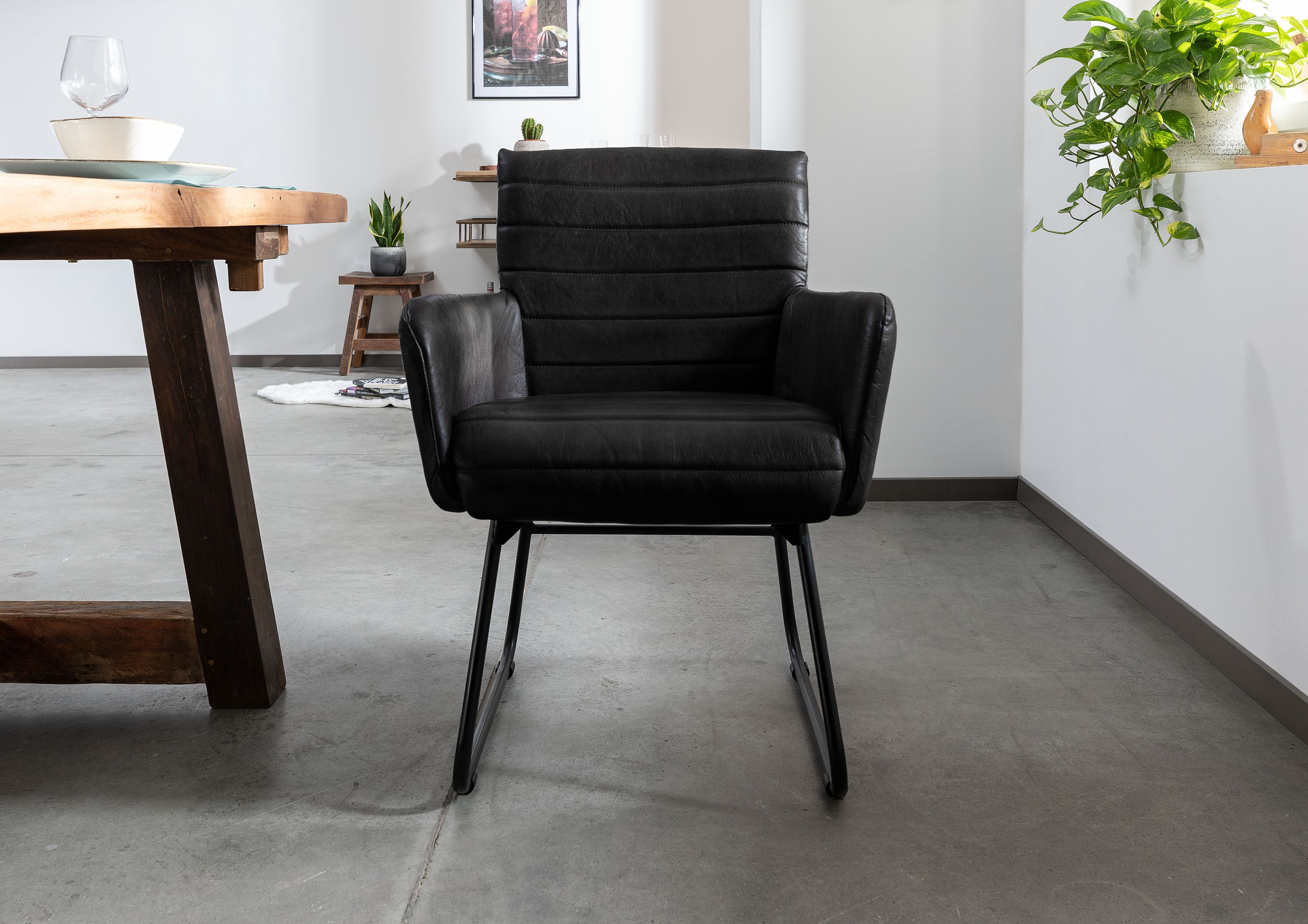 Product image for 101669