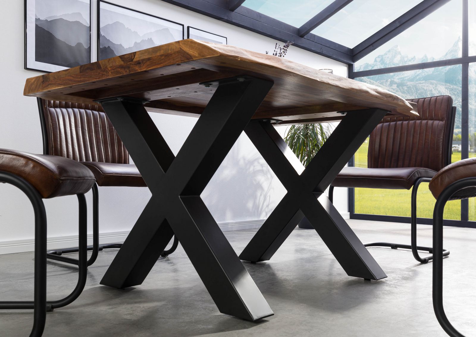 Product image for 101622