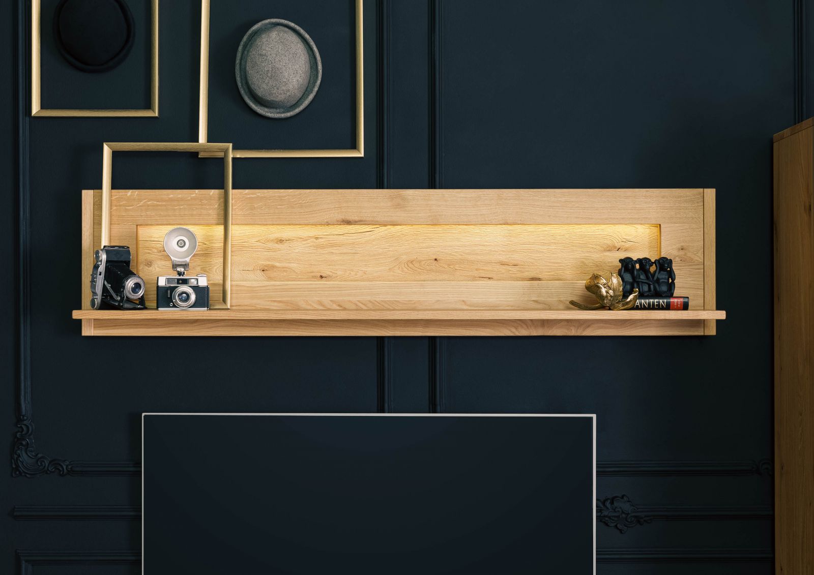 Product image for 101310
