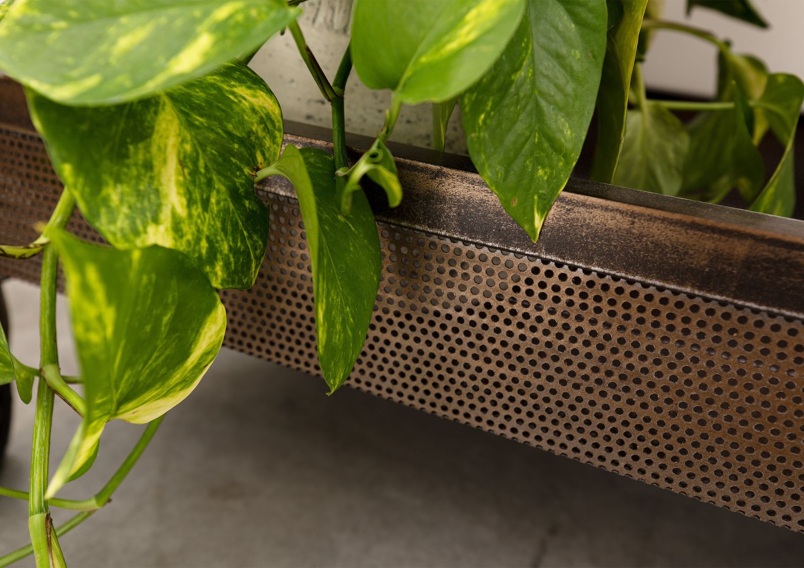 Product image for 100487