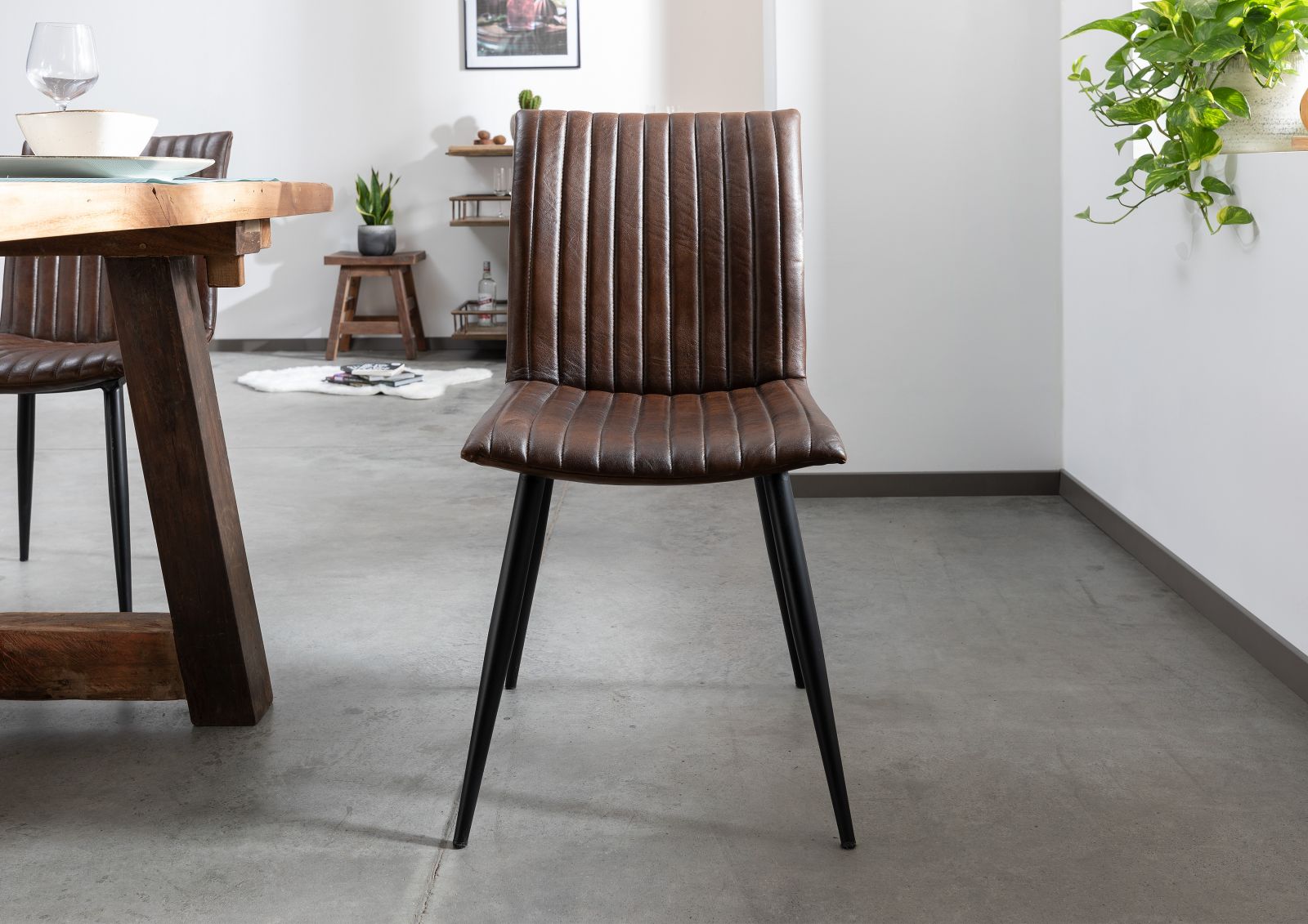Product image for 101670