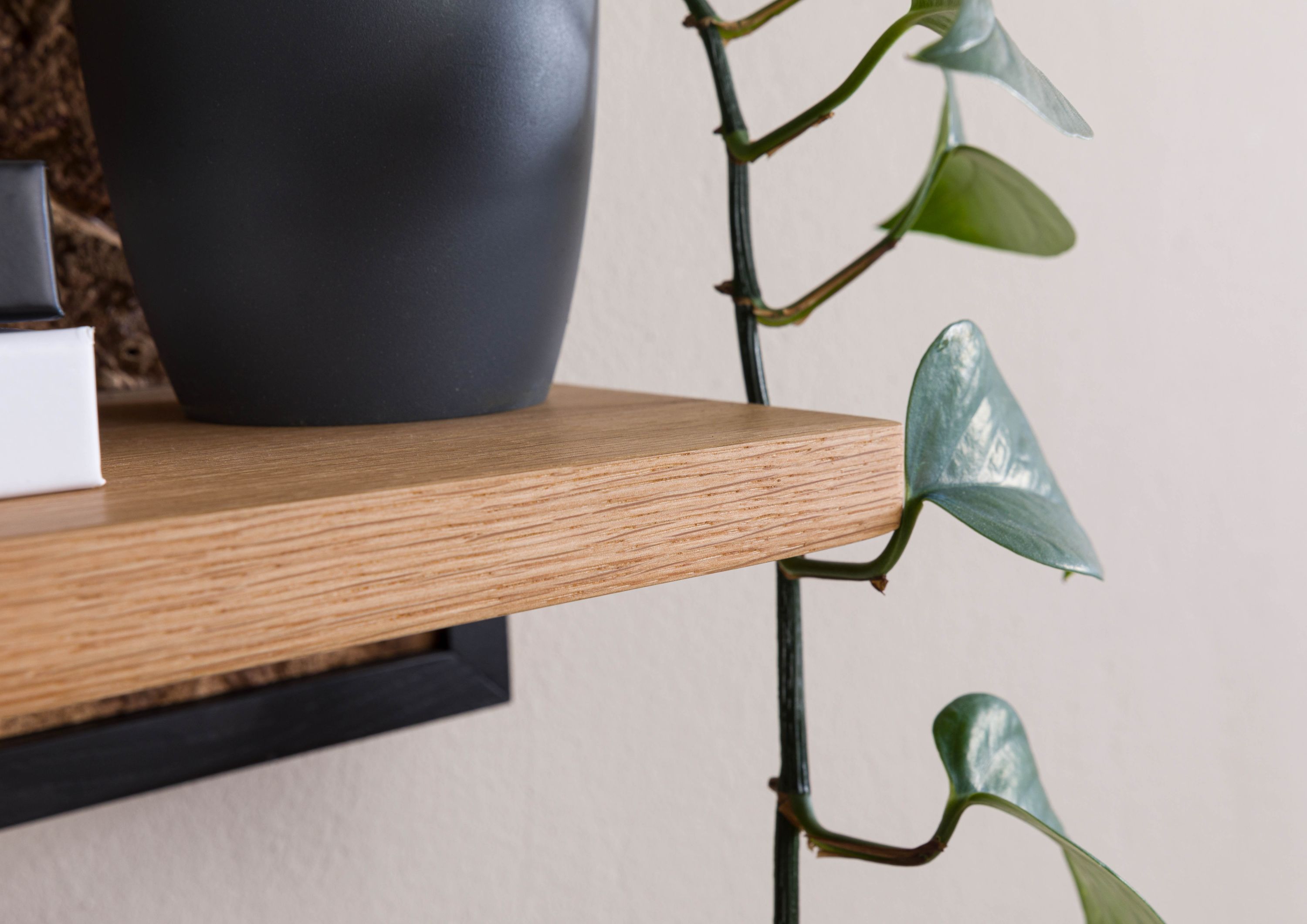 Product image for 102984
