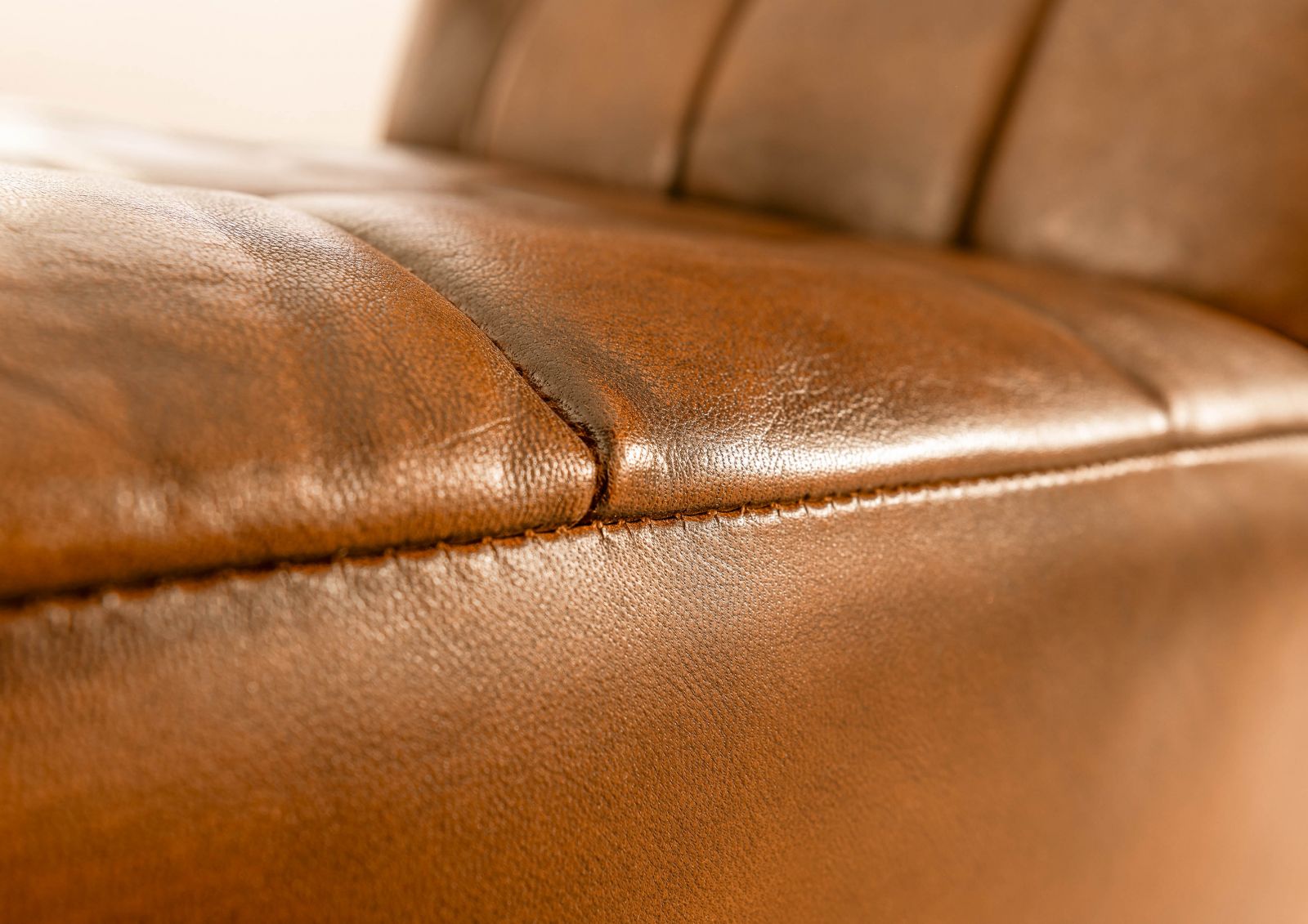 Product image for 101686