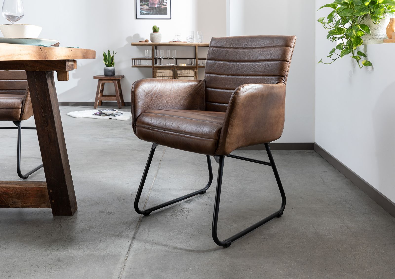 Product image for 101669