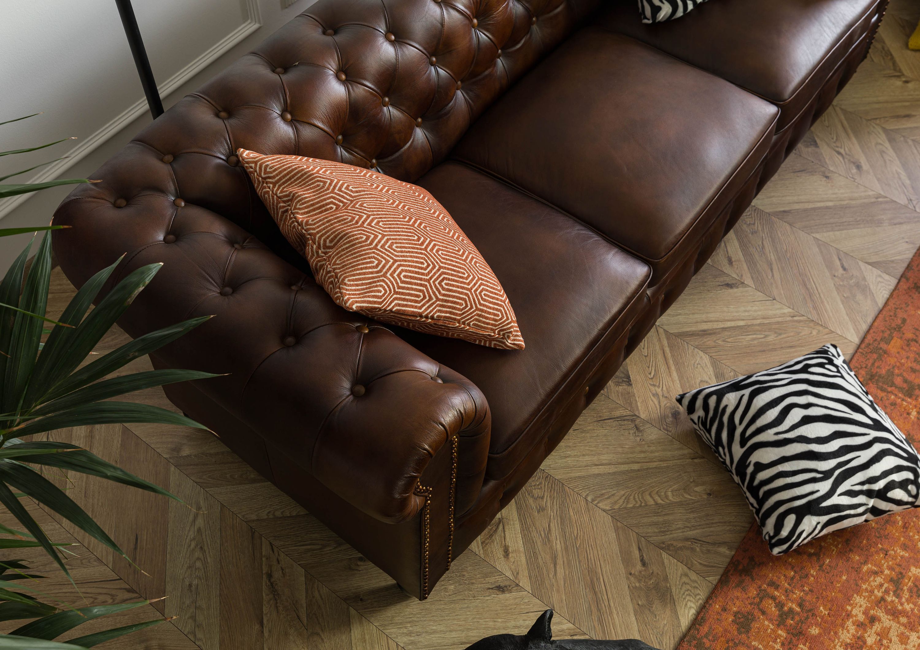 Product image for 101495
