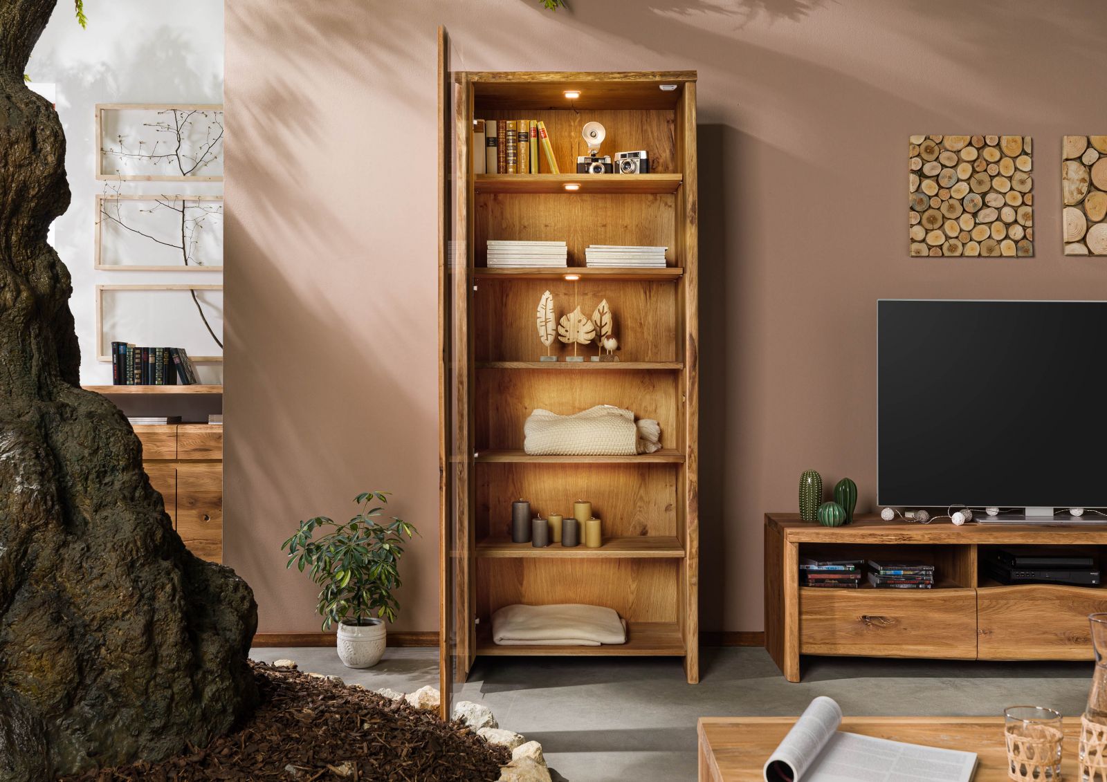 Product image for 102113