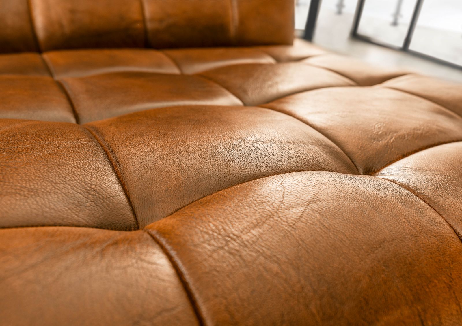 Product image for 101686