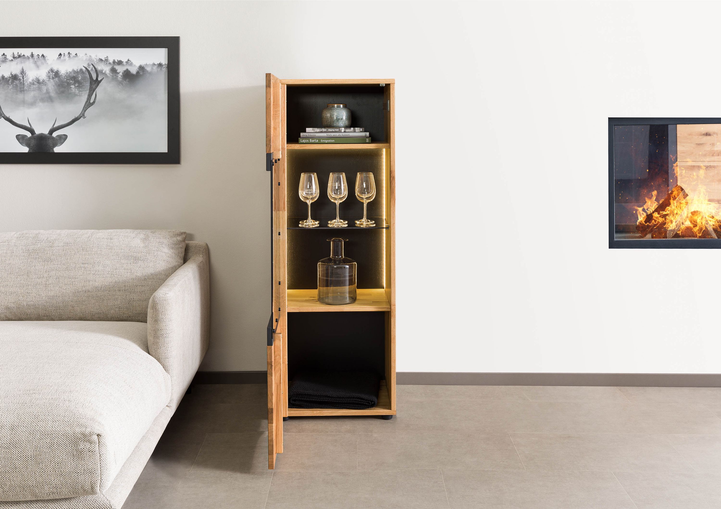 Product image for 102850