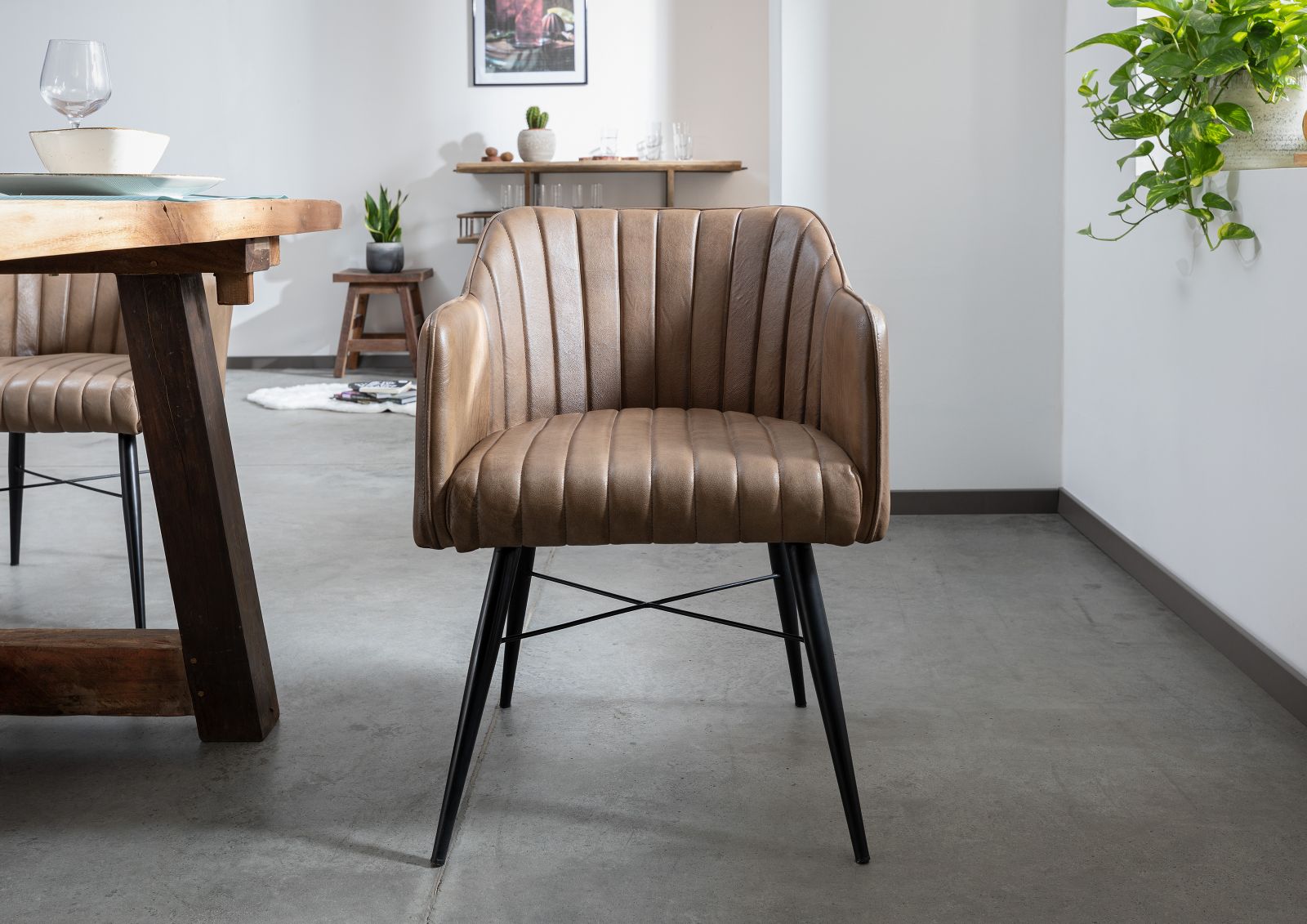 Product image for 101671