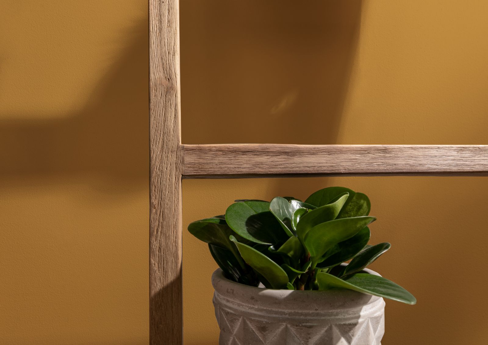 Product image for 54-900-720-0005