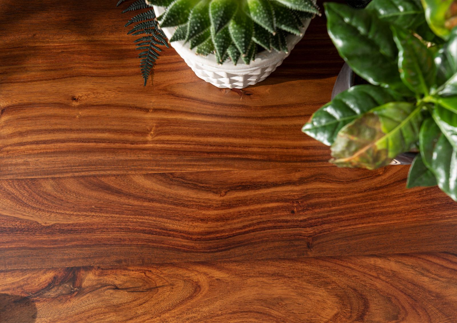 Product image for 100376