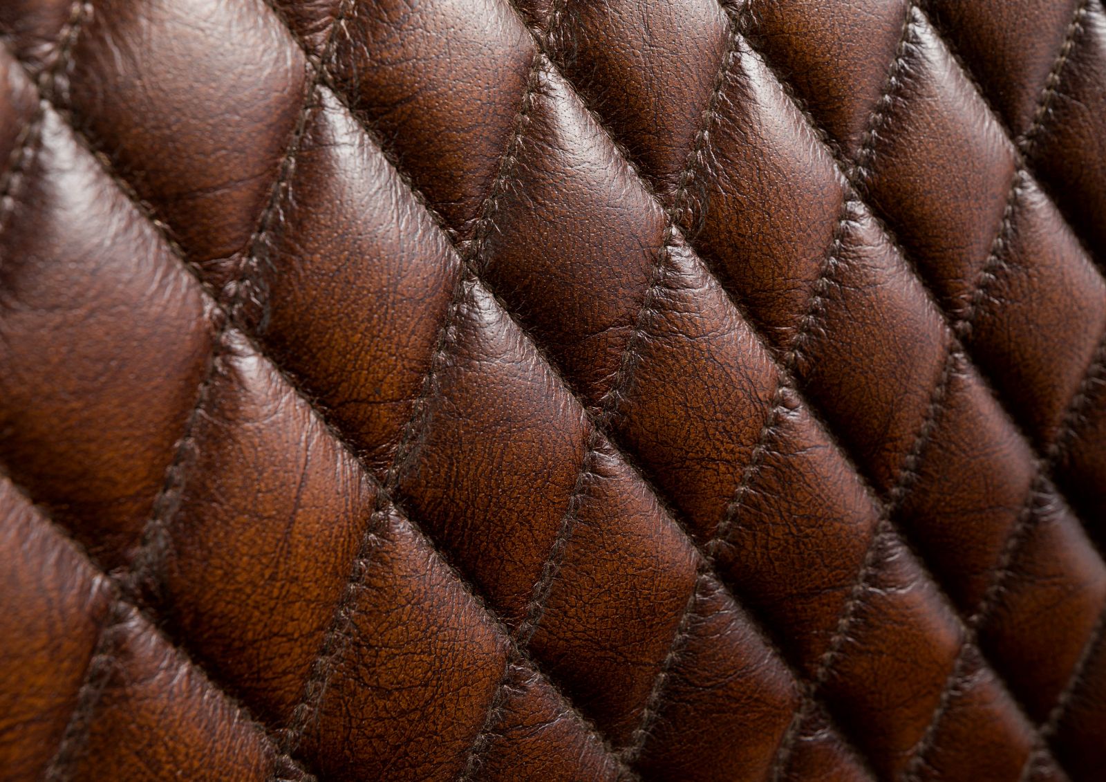Product image for 101678