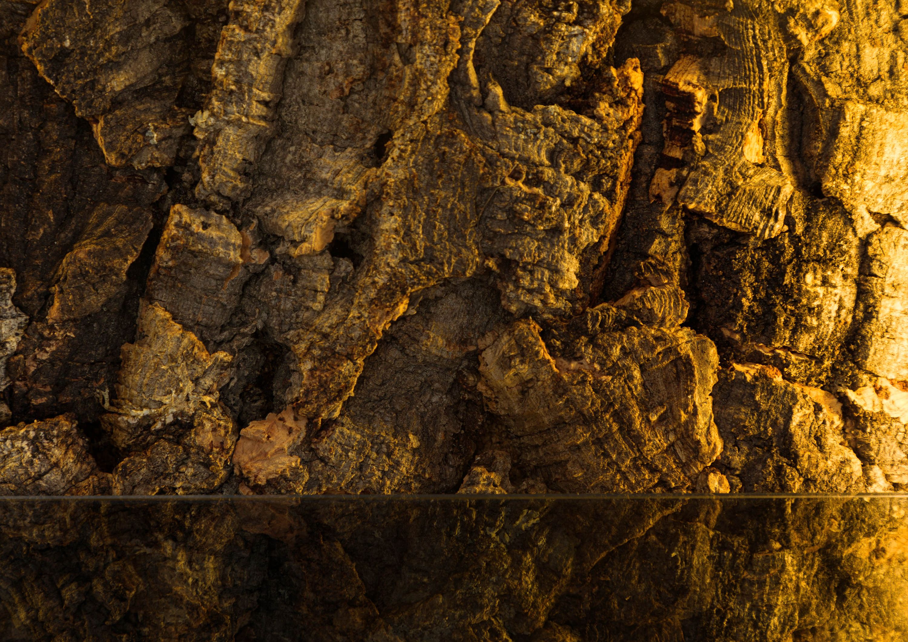Product image for 107433