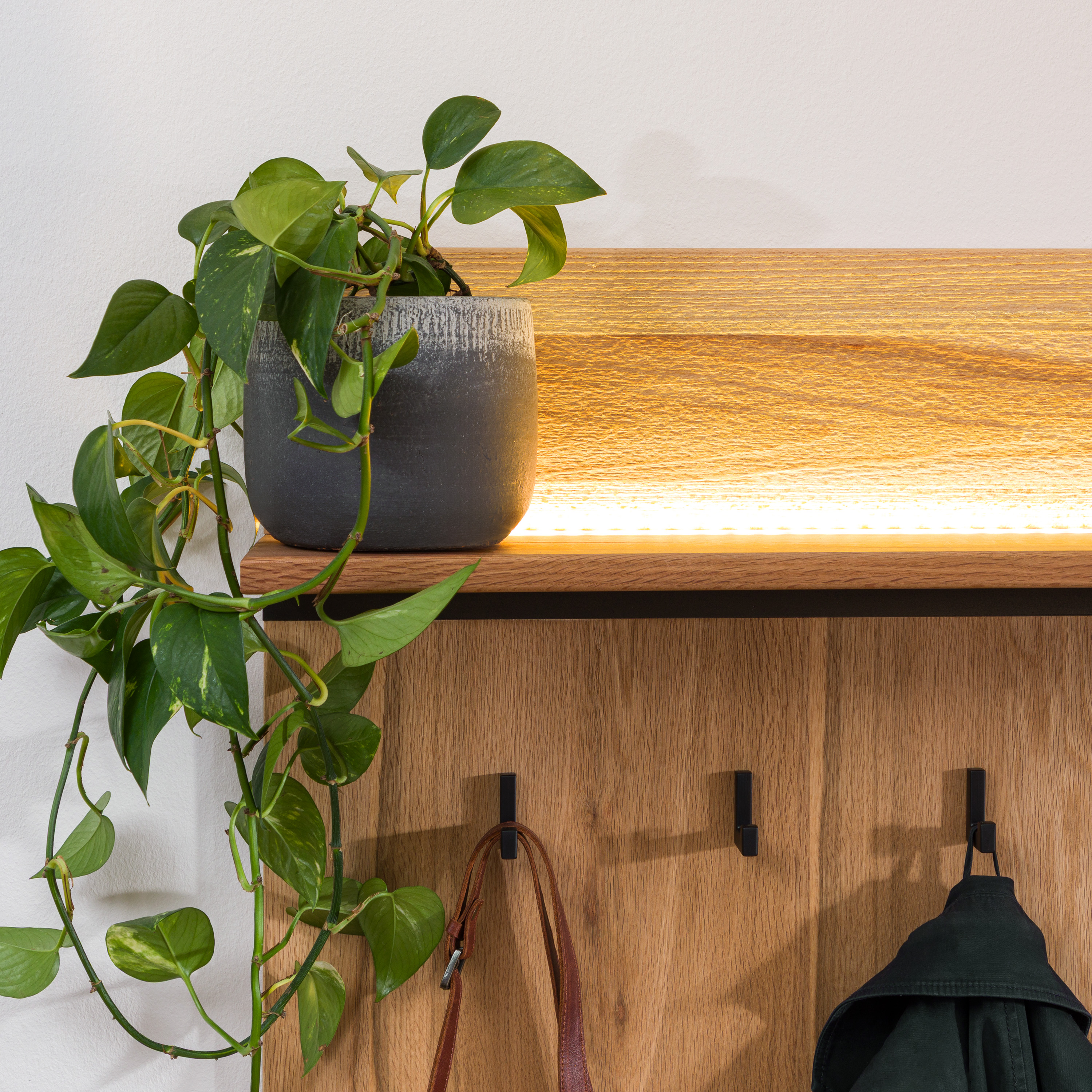 Product image for 170714