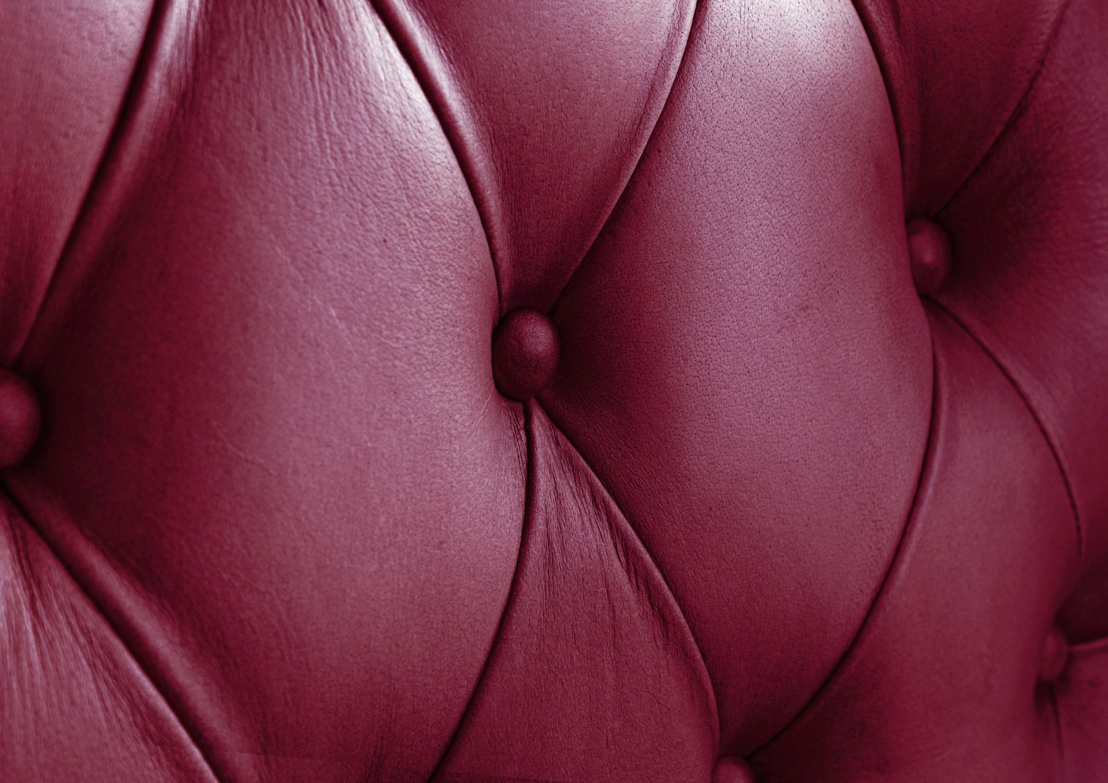 Product image for 101498