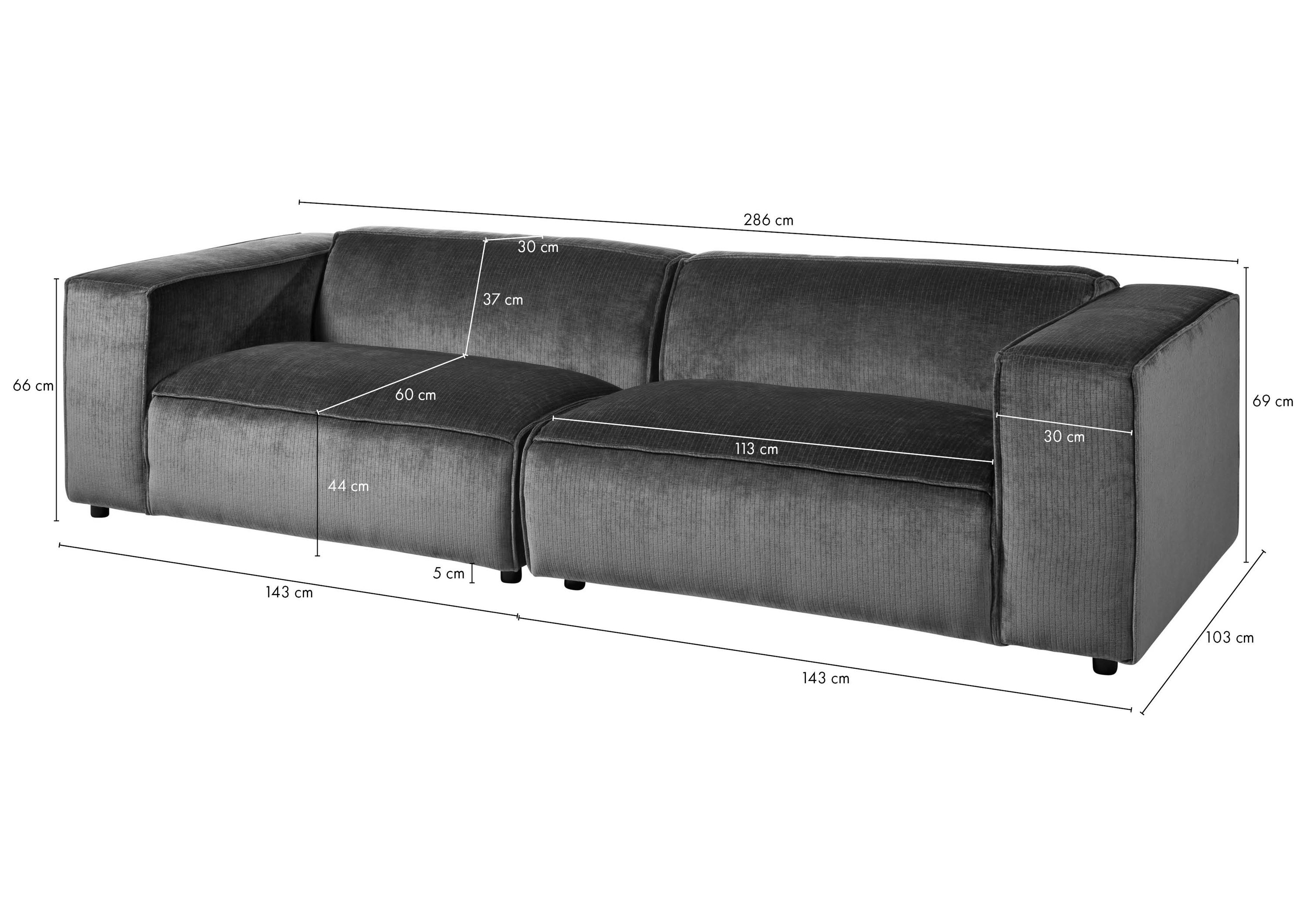 Product image for 101199