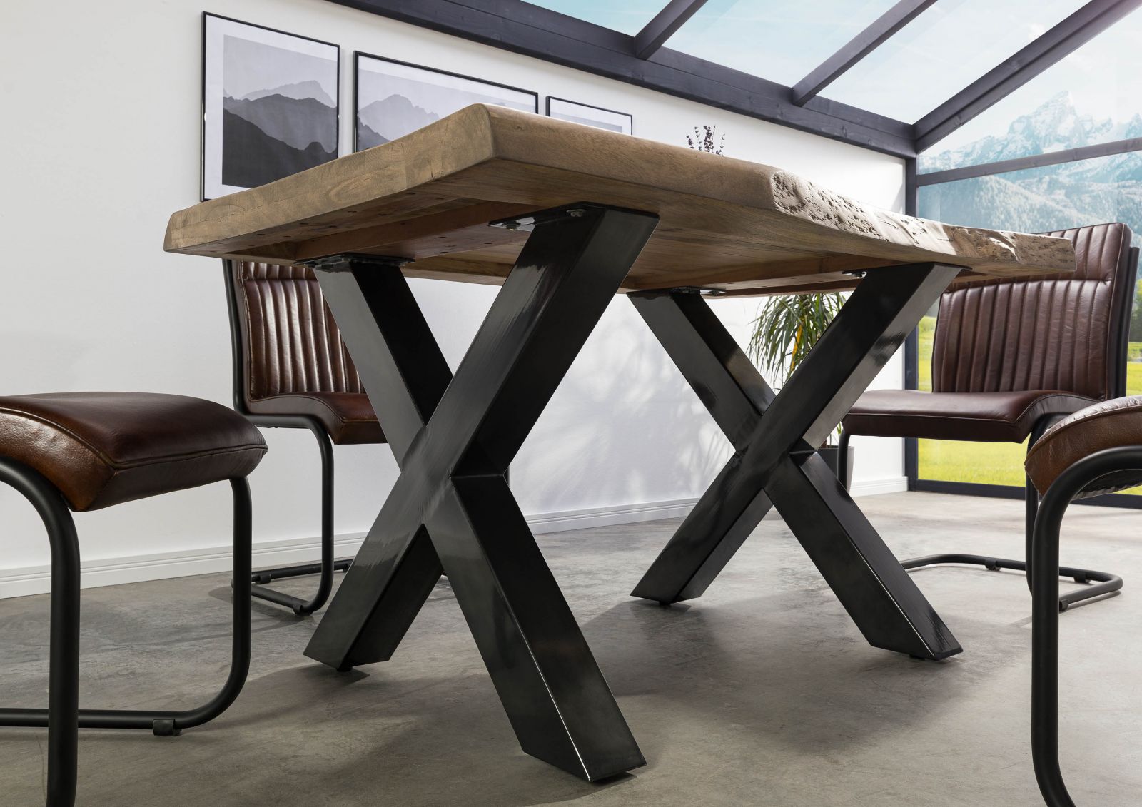 Product image for 101621