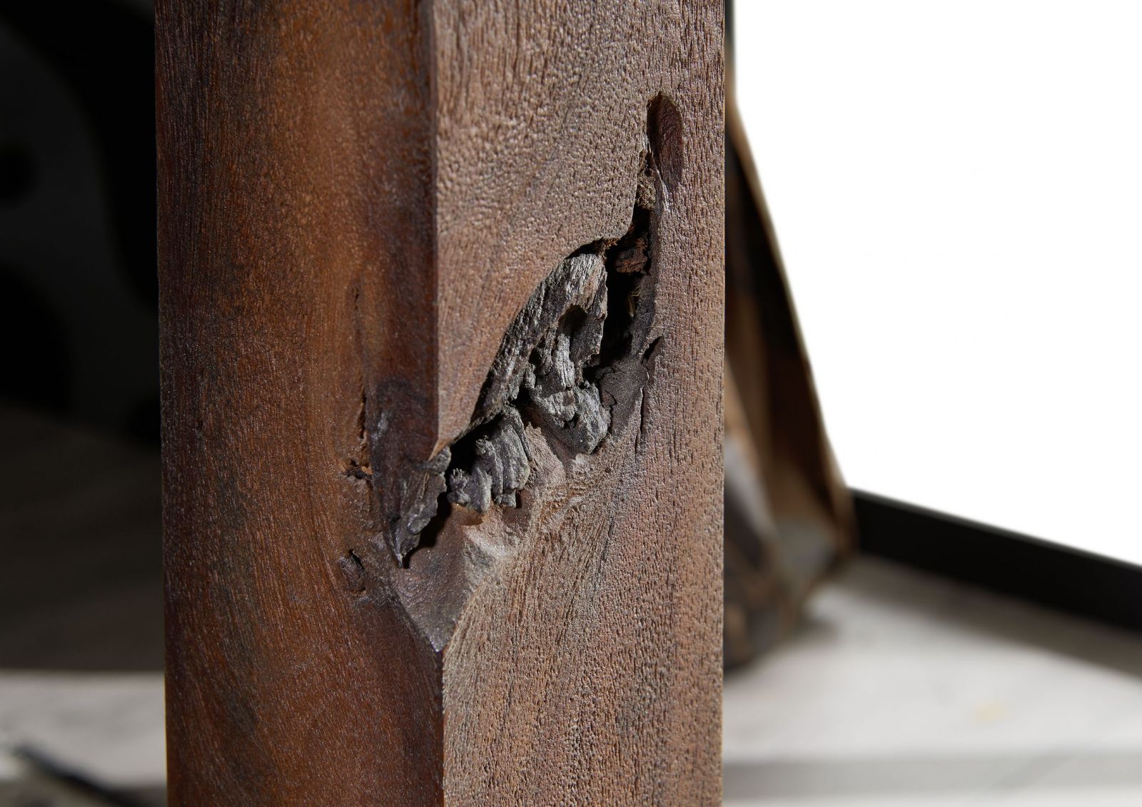 Product image for 101021